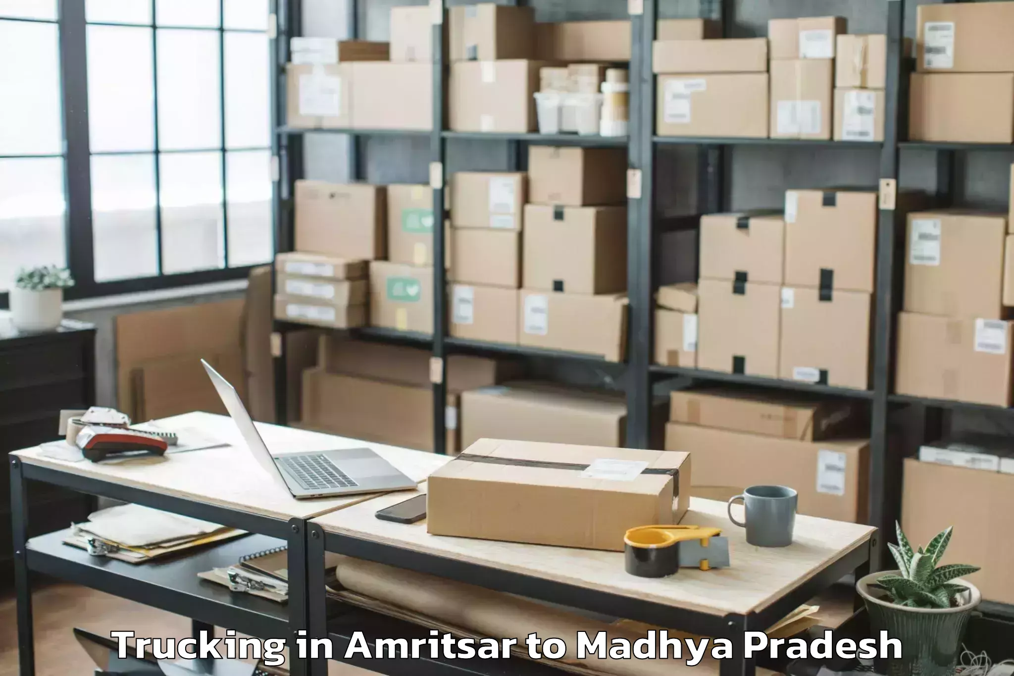 Book Amritsar to Maheshwar Trucking Online